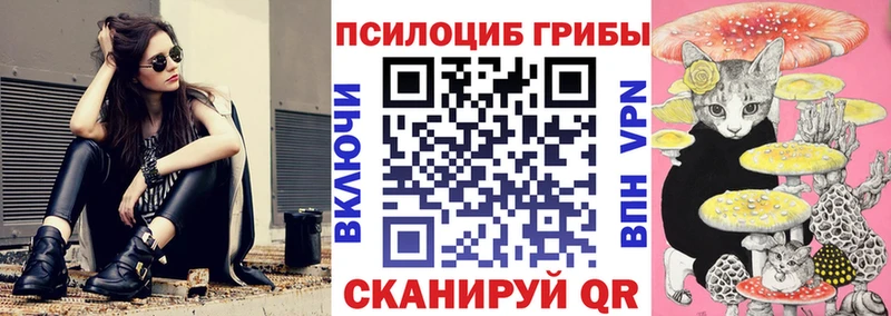 Псилоцибиновые грибы Psilocybe  кракен вход  Оса 